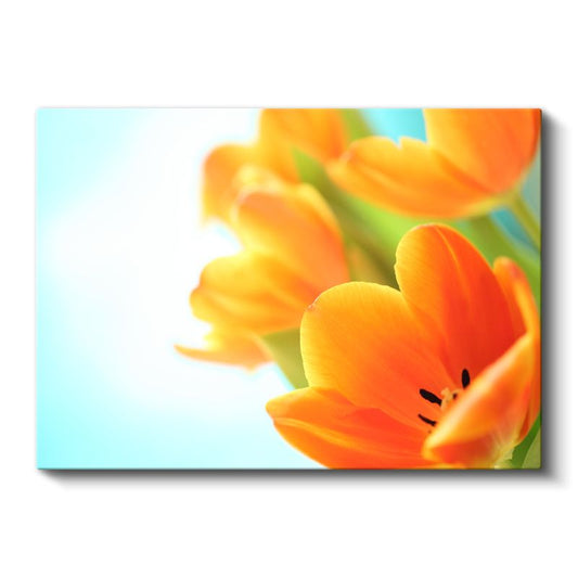 Turuncu Lale - Güneş Işığında Parlayan Çiçekler Kanvas Tablo