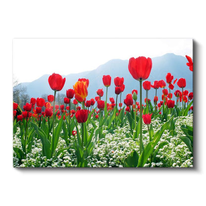 Kırmızı Laleler - Beyaz Çiçeklerle Dağ Manzarası Kanvas Tablo