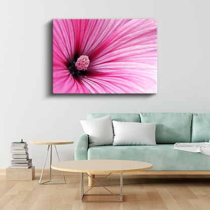 Pembe Ebegümeci - Makro Çekim Çiçek Detayı Kanvas Tablo