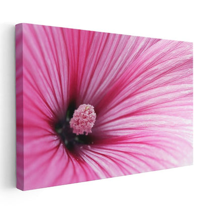 Pembe Ebegümeci - Makro Çekim Çiçek Detayı Kanvas Tablo