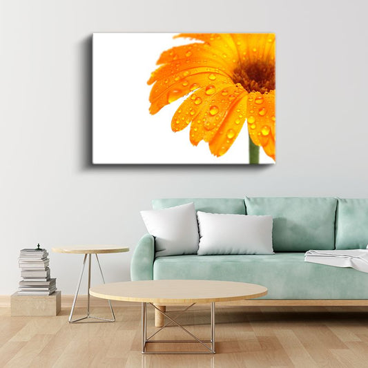Turuncu Gerbera - Çiy Damlacıklı Detay Kanvas Tablo