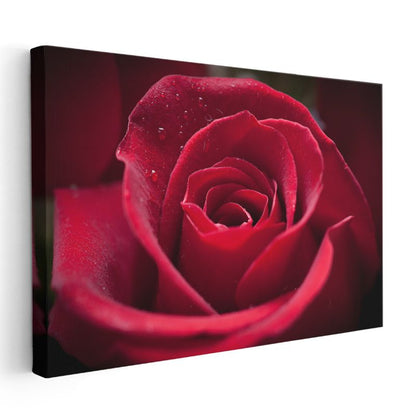 Kırmızı Gül - Çiy Damlacıklı Kadife Dokulu Çiçek Kanvas Tablo