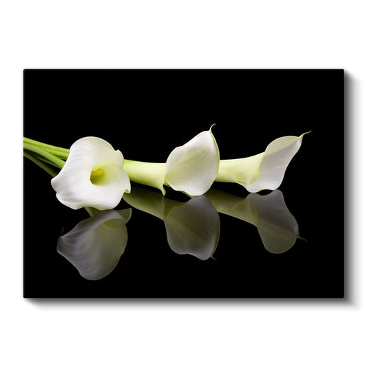 Beyaz Kalla Çiçekleri - Zarif Yansımalı Tasarım Kanvas Tablo