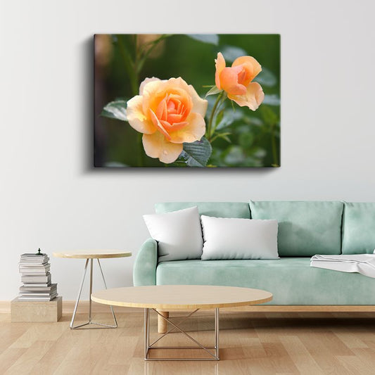 Şeftali Tonlu Güller - Narin Yapraklı Çift Tomurcuk Kanvas Tablo
