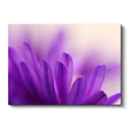 Mor Çiçek Yaprakları - Makro Çekim Detaylı Kanvas Tablo