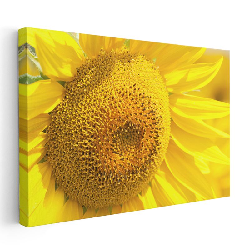 Ayçiçeği - Canlı Sarı Tonlu Detaylı Merkez Kanvas Tablo