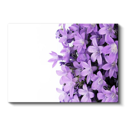 Mor Çan Çiçekleri - Minimalist Beyaz Tasarım Kanvas Tablo