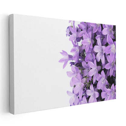 Mor Çan Çiçekleri - Minimalist Beyaz Tasarım Kanvas Tablo