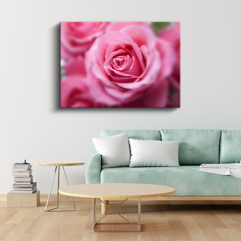 Pembe Gül - Yumuşak Odak Teknikli Çekim Kanvas Tablo