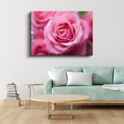 Pembe Gül - Yumuşak Odak Teknikli Çekim Kanvas Tablo