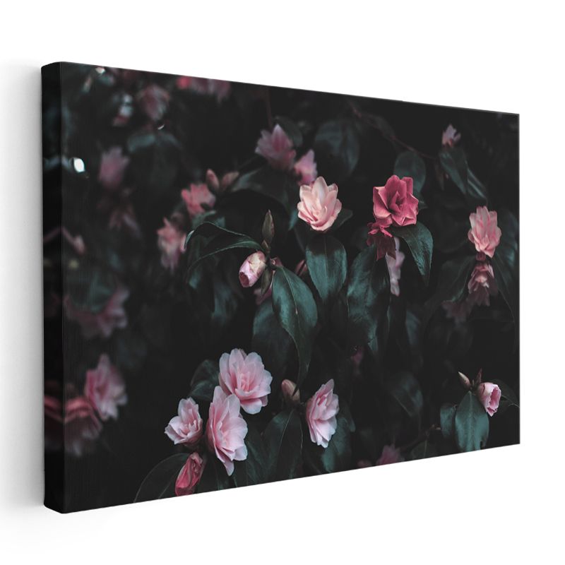 Kamelya Çiçekleri - Koyu Yapraklı Romantik Tasarım Kanvas Tablo