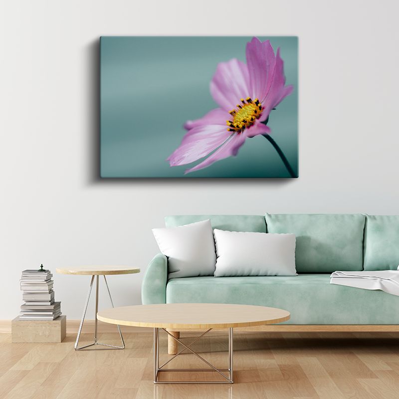 Pembe Kozmos Çiçeği - Turkuaz Fonlu Minimal Kanvas Tablo