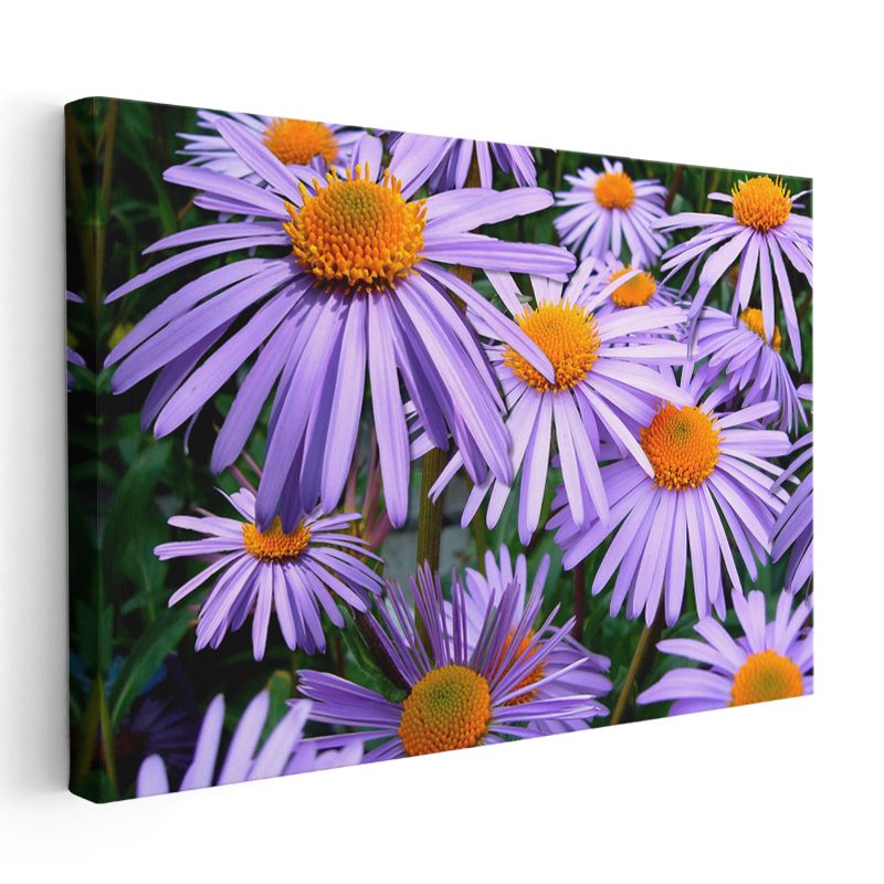 Mor Papatyalar - Turuncu Merkezli Çiçek Topluluğu Kanvas Tablo