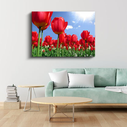 Kırmızı Laleler - Mavi Gökyüzü Altında Çiçek Tarlası Kanvas Tablo