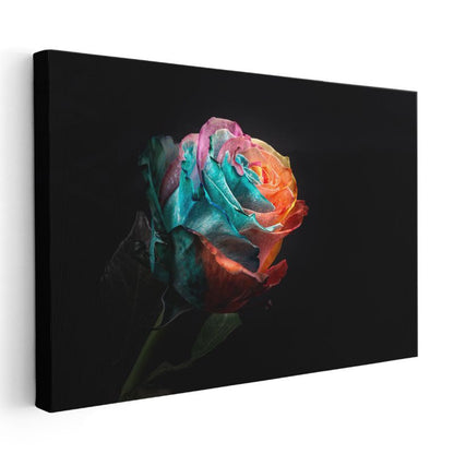 Gökkuşağı Gül - Çok Renkli Dramatik Çiçek Kanvas Tablo