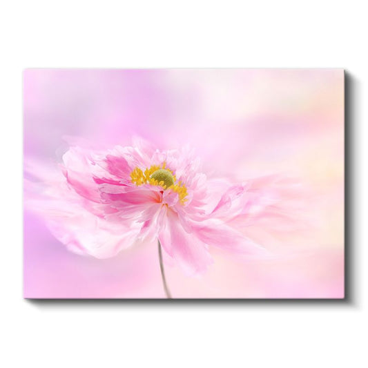 Pembe Şakayık - Yumuşak Pastel Tonlu Çiçek Kanvas Tablo