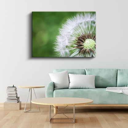 Karahindiba - Makro Çekim Doğal Detay Kanvas Tablo