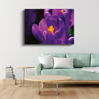 Mor Krokus - Sarı Tozlu Polen Detaylı Kanvas Tablo