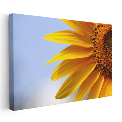 Ayçiçeği Detay - Mavi Gökyüzü Fonlu Yakın Plan Kanvas Tablo