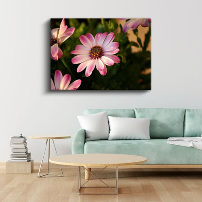 Pembe Papatya - Turuncu Merkezli Bahçe Çiçeği Kanvas Tablo