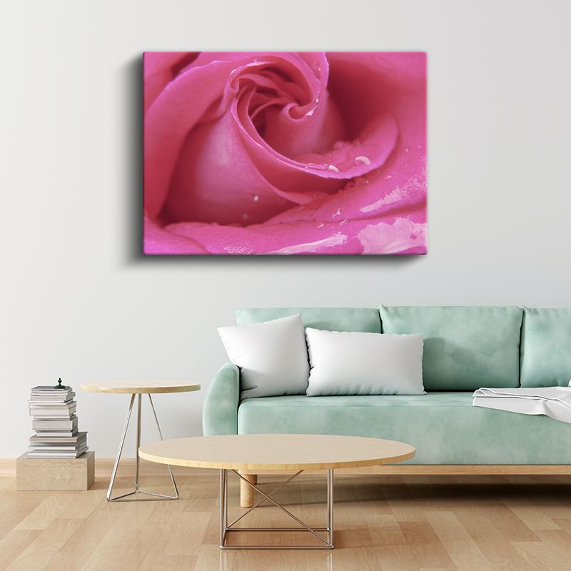 Pembe Gül - Çiy Damlacıklı Makro Çekim Kanvas Tablo