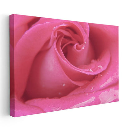 Pembe Gül - Çiy Damlacıklı Makro Çekim Kanvas Tablo