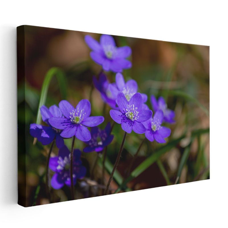 Mavi Orman Çiçekleri - Yeşil Yapraklı Bahar Kanvas Tablo