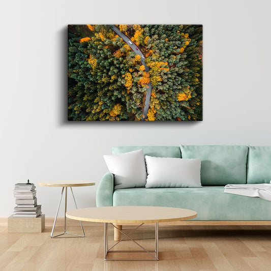 Sonbahar Ormanı - Havadan Görünüm Kanvas Tablo