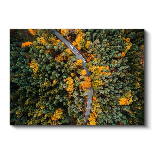 Sonbahar Ormanı - Havadan Görünüm Kanvas Tablo