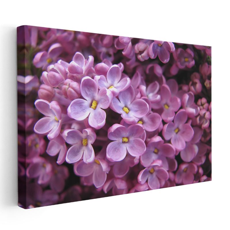 Leylak Çiçekleri - Yoğun Çiçekli Demet Kanvas Tablo