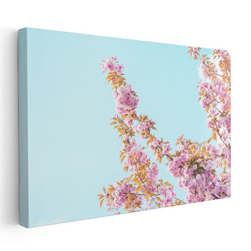 Kiraz Çiçekleri - Turkuaz Gökyüzü Altında Kanvas Tablo