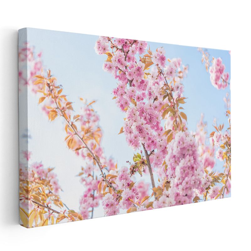Japon Kiraz Çiçekleri - Bahar Dalları Kanvas Tablo