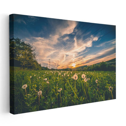 Karahindiba Tarlası - Gün Batımı Manzaralı Kanvas Tablo