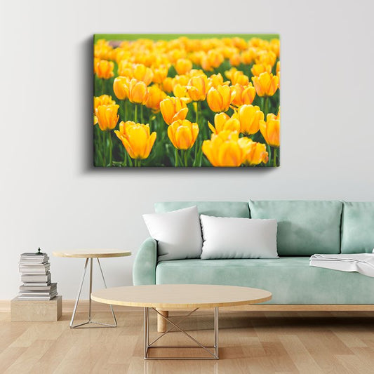 Sarı Laleler - Parlak Renkli Çiçek Bahçesi Kanvas Tablo