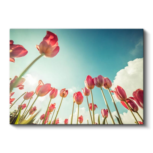 Kırmızı Laleler - Alttan Görünüm Perspektif Kanvas Tablo