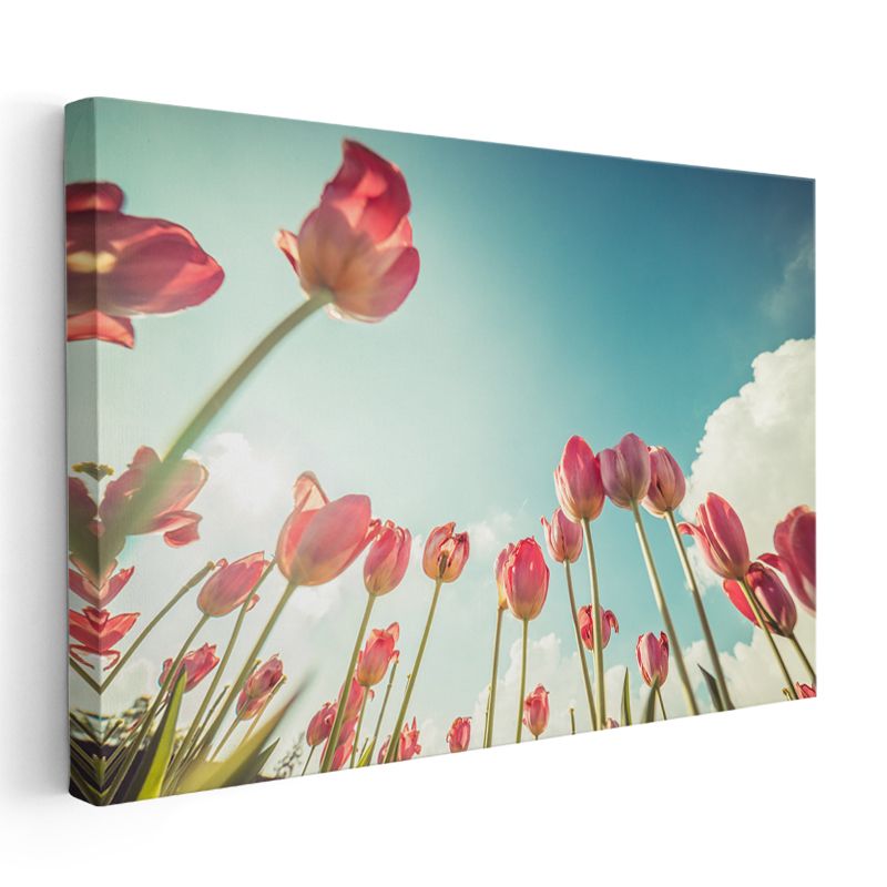 Kırmızı Laleler - Alttan Görünüm Perspektif Kanvas Tablo