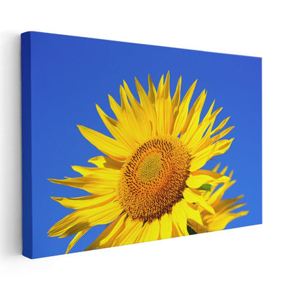 Ayçiçeği - Mavi Gökyüzü Fonlu Kanvas Tablo