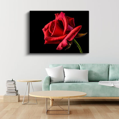 Kırmızı Gül - Kadife Dokulu Çiçek Kanvas Tablo