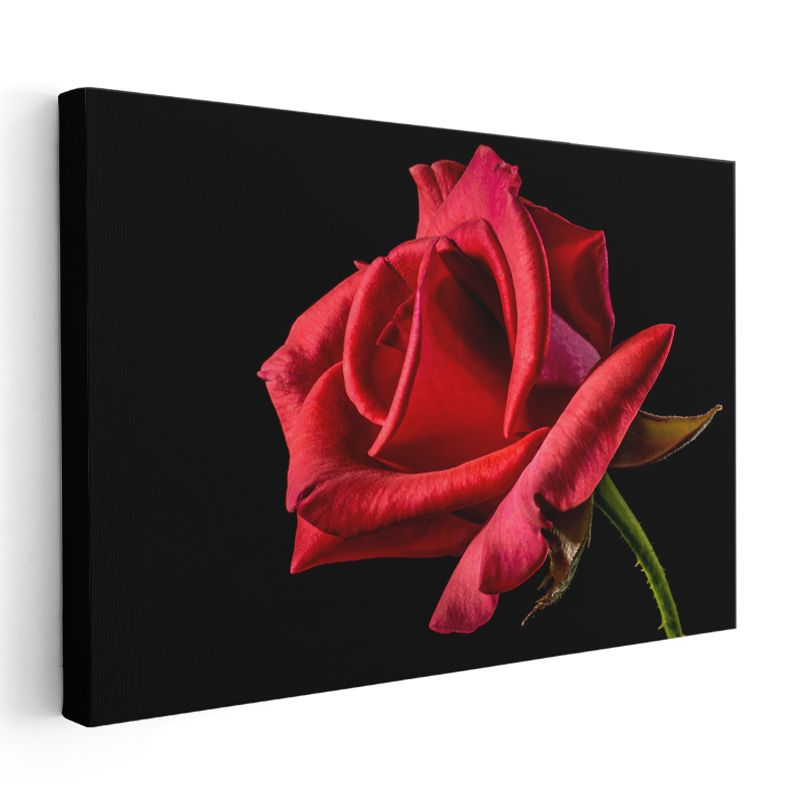 Kırmızı Gül - Kadife Dokulu Çiçek Kanvas Tablo