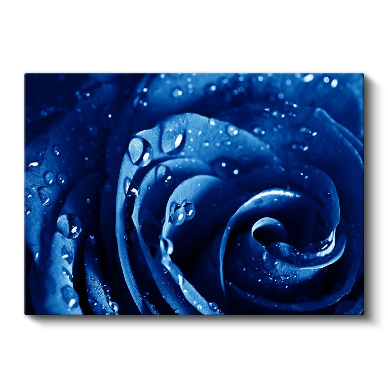 Mavi Gül - Çiy Damlacıklı Makro Çekim Kanvas Tablo