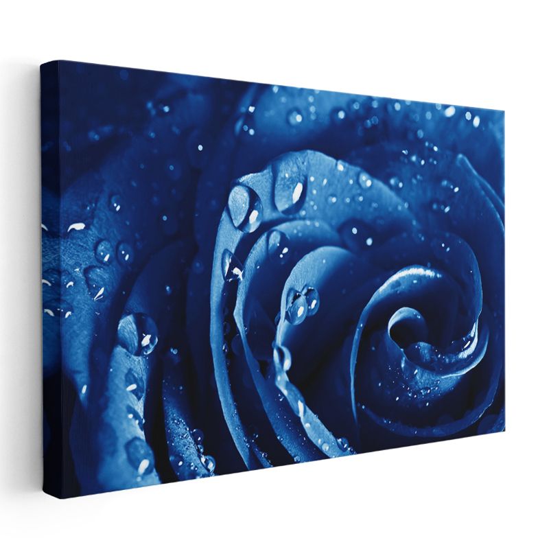 Mavi Gül - Çiy Damlacıklı Makro Çekim Kanvas Tablo