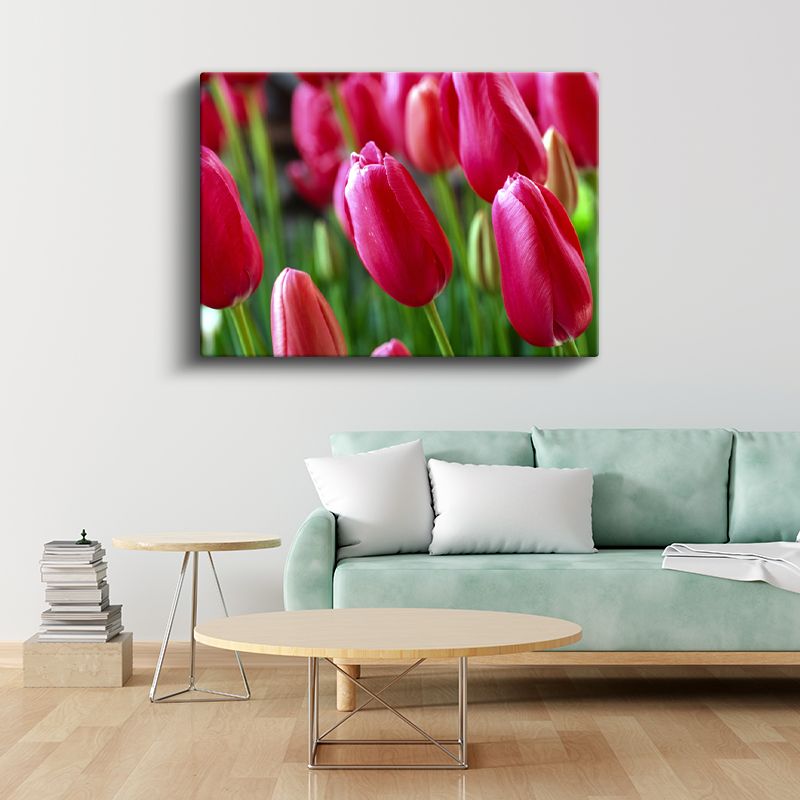 Kırmızı Laleler - Canlı Renkli Bahçe Çiçekleri Kanvas Tablo
