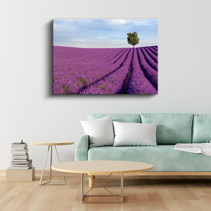 Lavanta Tarlası - Tek Ağaçlı Minimalist Manzara Kanvas Tablo