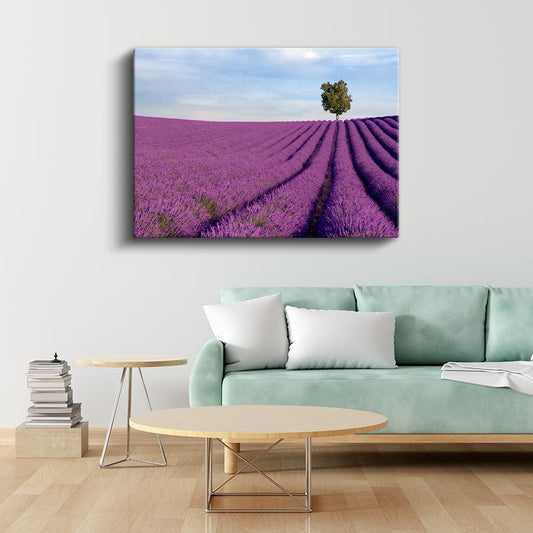Lavanta Tarlası - Tek Ağaçlı Minimalist Manzara Kanvas Tablo