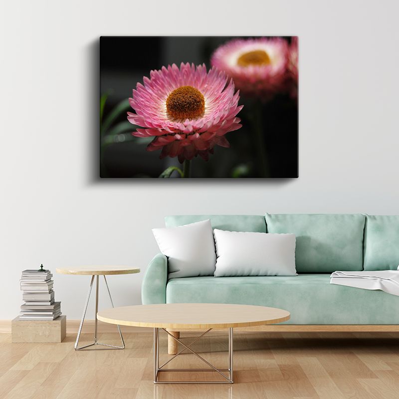 Pembe Ölmez Çiçek - Kahverengi Merkezli Dekoratif Kanvas Tablo