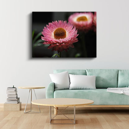 Pembe Ölmez Çiçek - Kahverengi Merkezli Dekoratif Kanvas Tablo