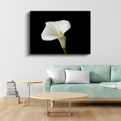 Beyaz Kalla - Siyah Fonlu Zarif Çiçek Kanvas Tablo