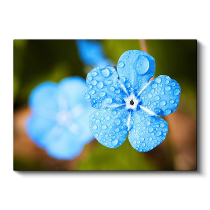 Mavi Unutma Beni - Çiy Damlacıklı Detay Kanvas Tablo