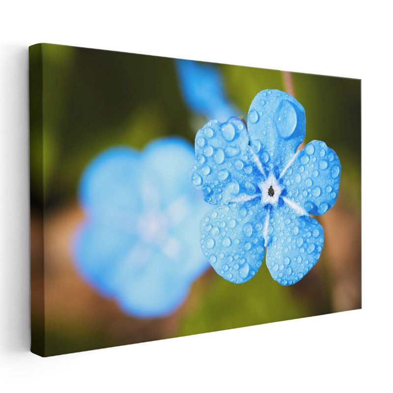 Mavi Unutma Beni - Çiy Damlacıklı Detay Kanvas Tablo