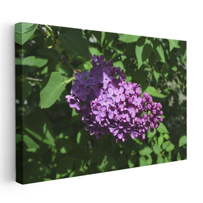 Mor Leylak - Yeşil Yapraklı Çiçek Demeti Kanvas Tablo